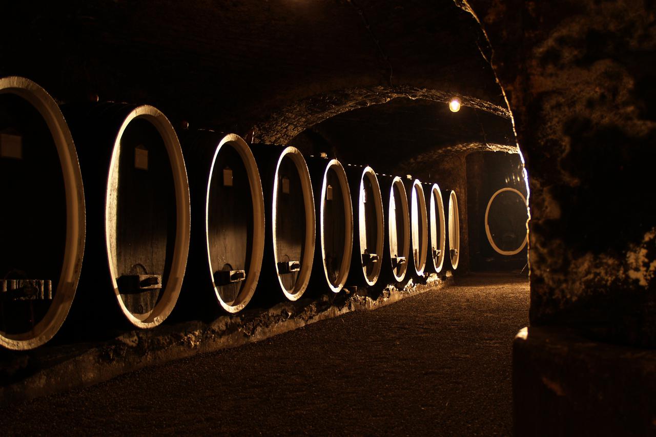 Kvaliteta potvrđena na najprestižnijim domaćim i svjetskim vinskim natjecanjima