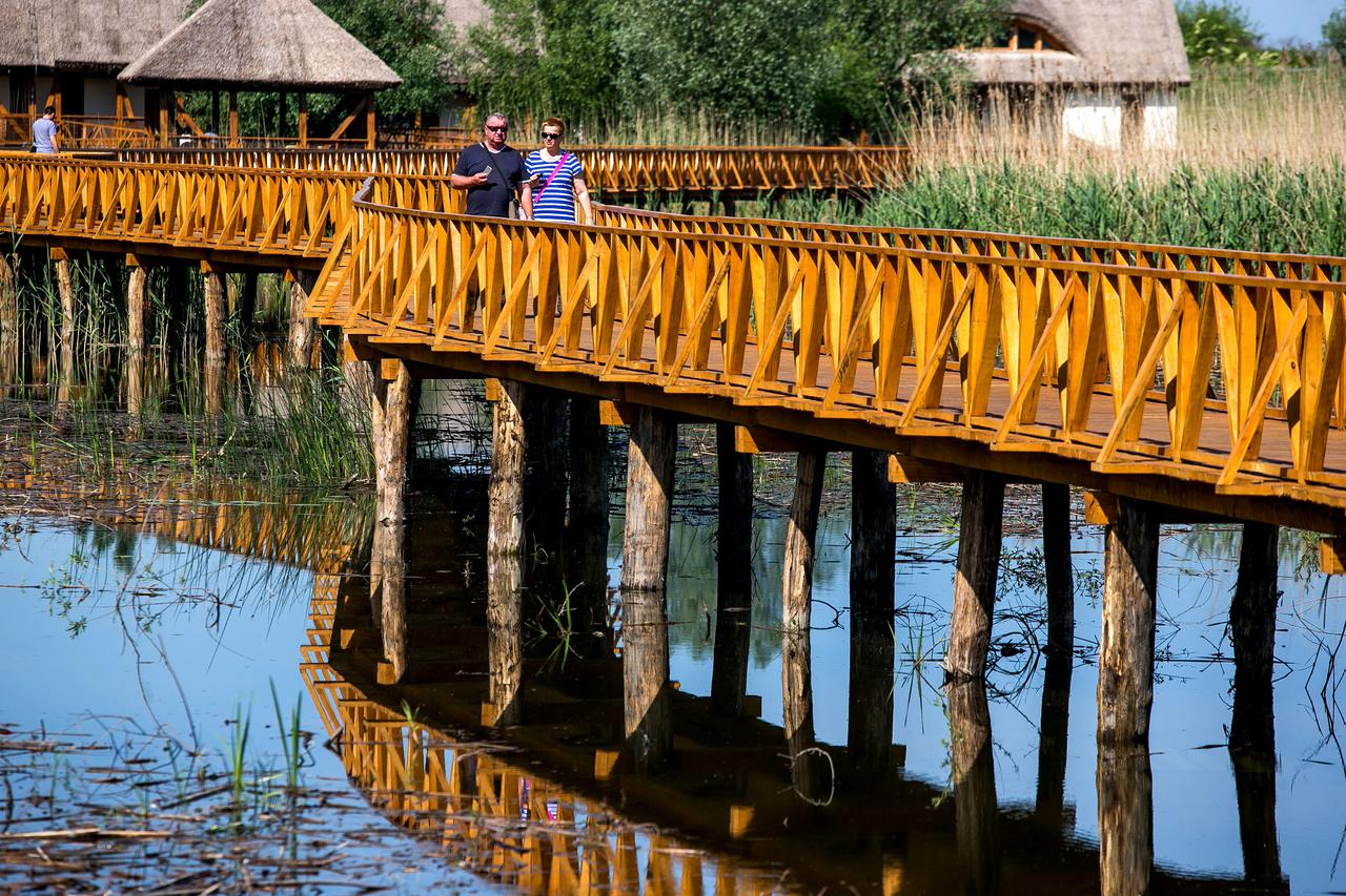 12.05.2015., Baranja, Kopacki rit - U Parku prirode Kopacki rit postavljen je drveni most preko mocvare, a to je samo jedan od niza njihovih novih projekata.