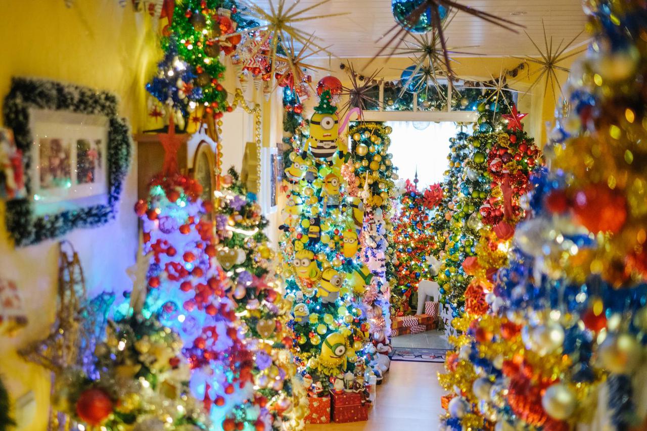 Christmas tree world record