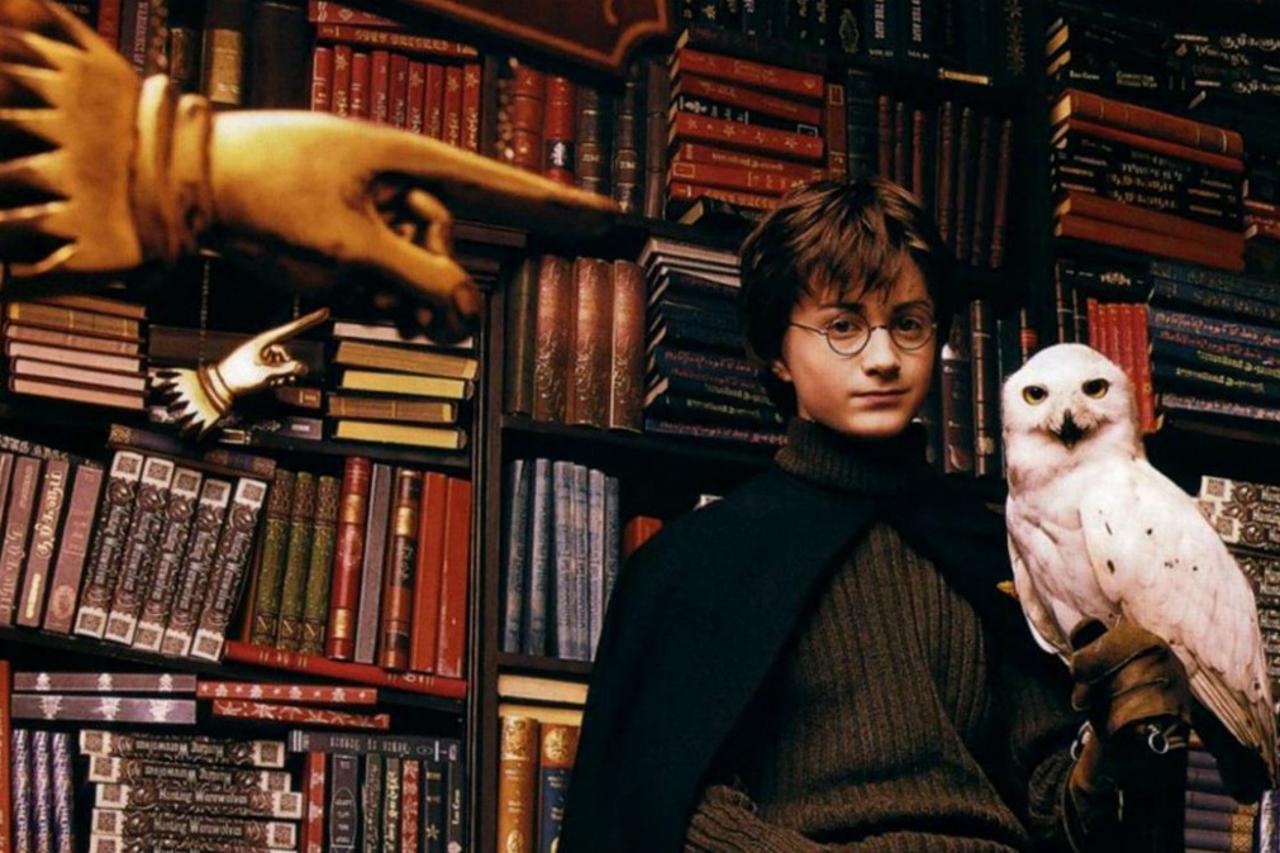 Knjižara Lello e Irmão