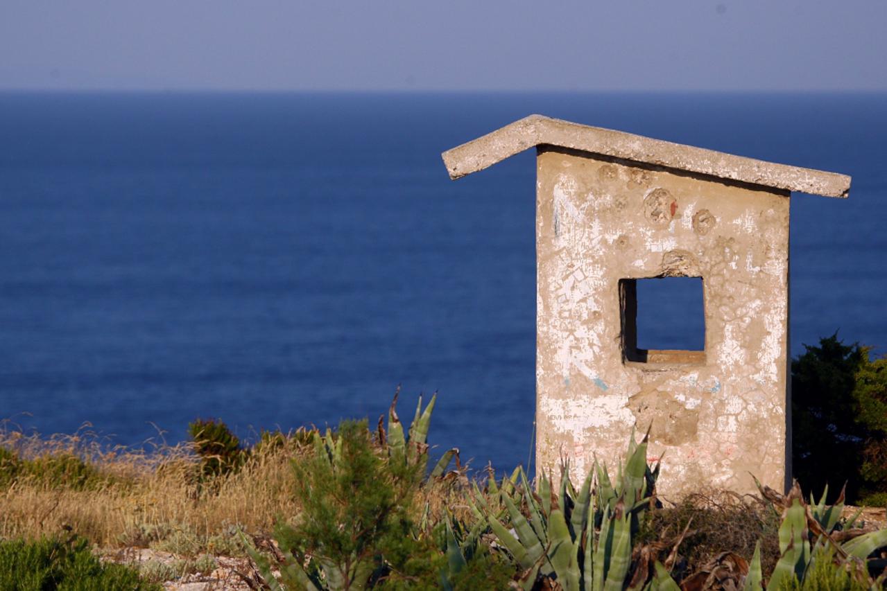 vis (1)