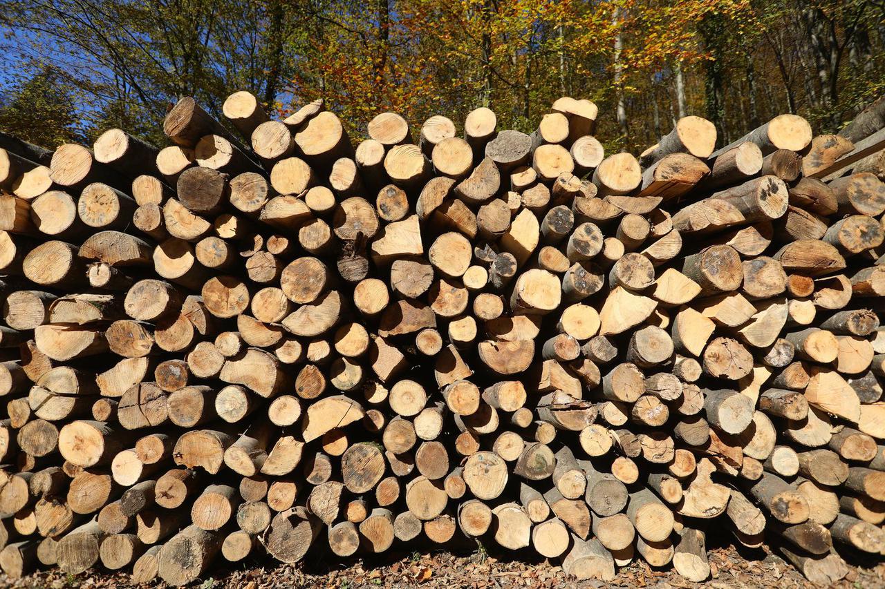 Počele pripreme drva za zimu na području Papuka