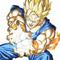 Avatar future Gohan