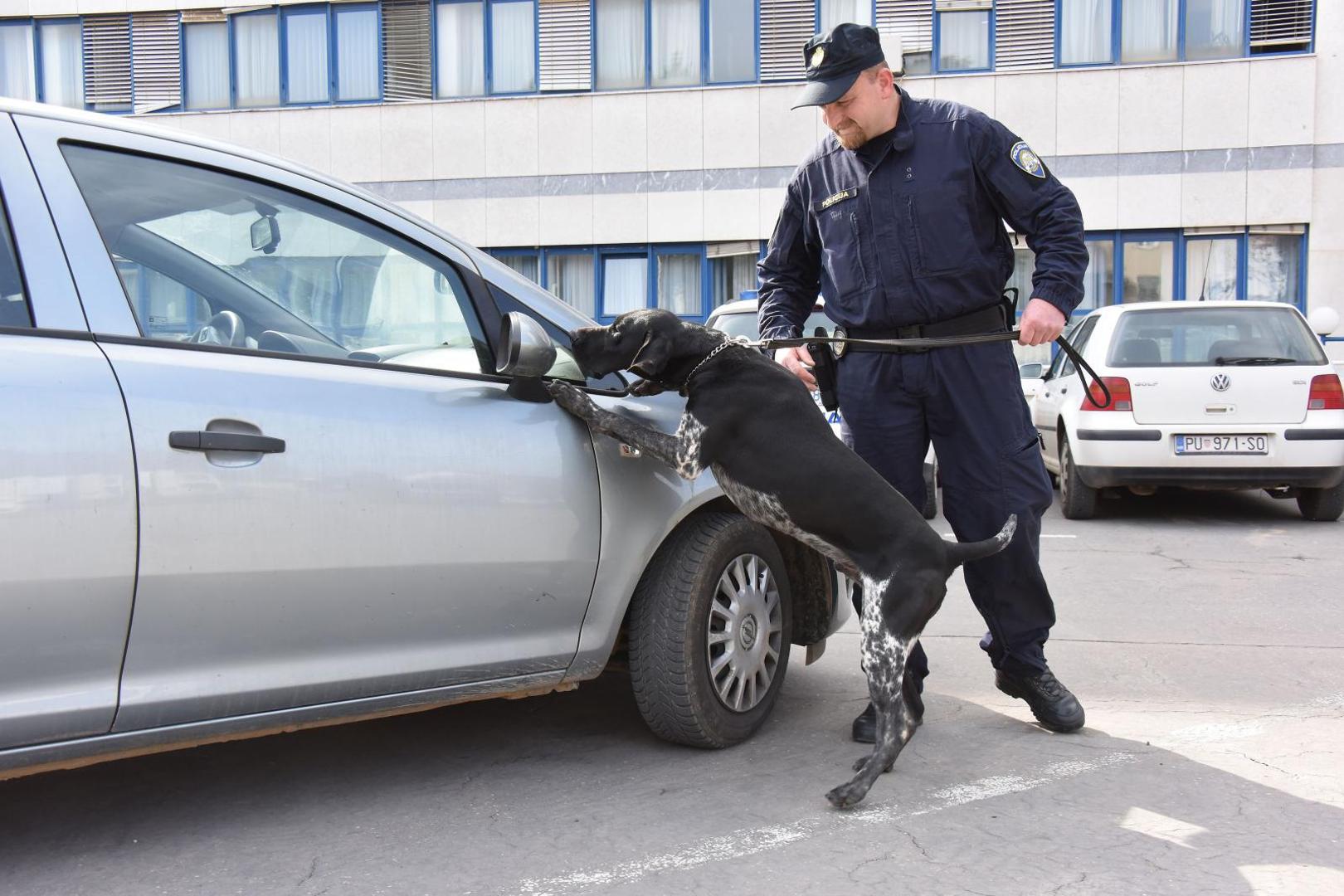 Policijski pas Duks supernjuhom tjera švercere droge u očaj: inače je pravi ljepotan i velika maza