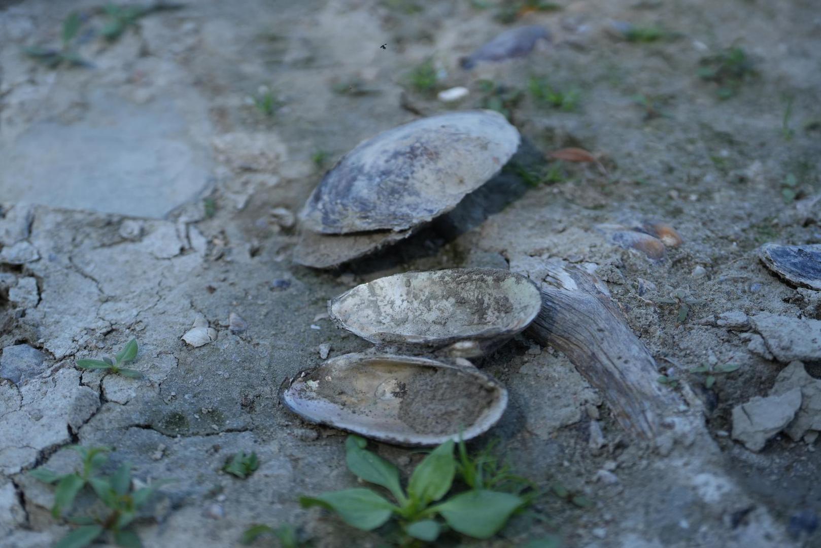 Ondje gdje se inače nalazi voda sada se vide golema pješčana sprudovi, stijene, mulj i ostaci brodova koji su desetljećima bili skriveni ispod površine.