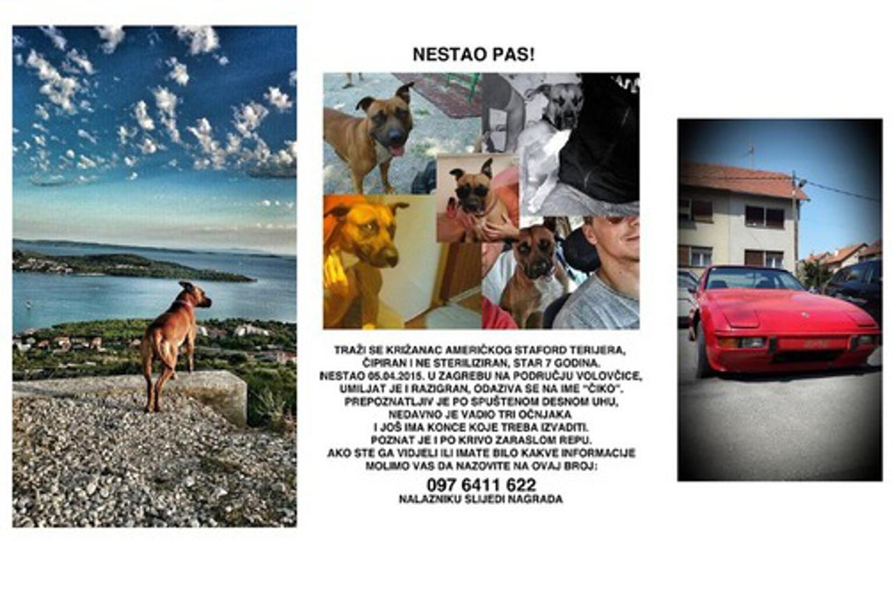 Nestao pas