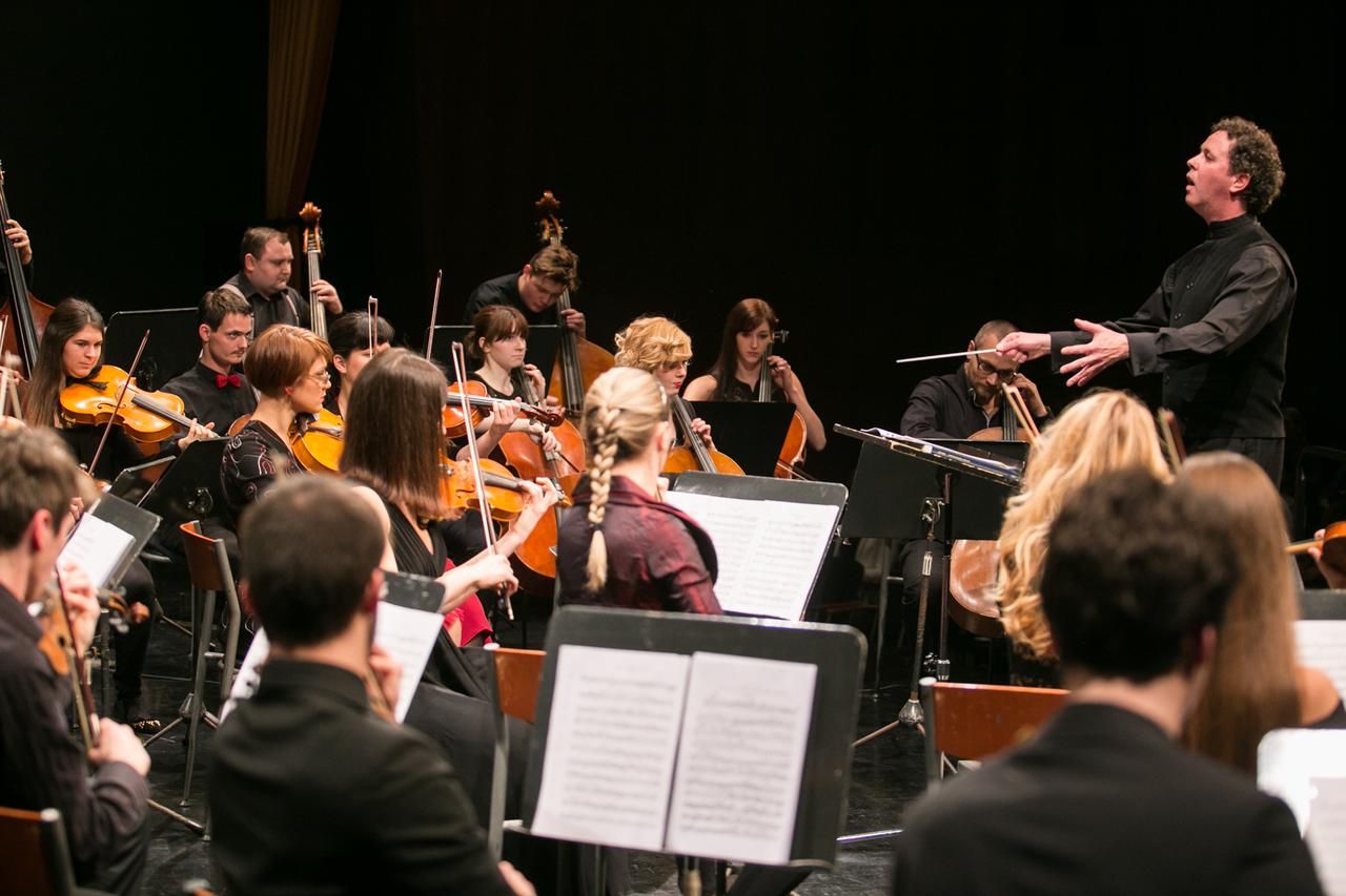 Zagrebački orkestar mladih