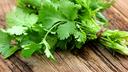 Experienced Travelers Always Keep Parsley in the Car: The Ingenious Reason Can Ease Your Journey