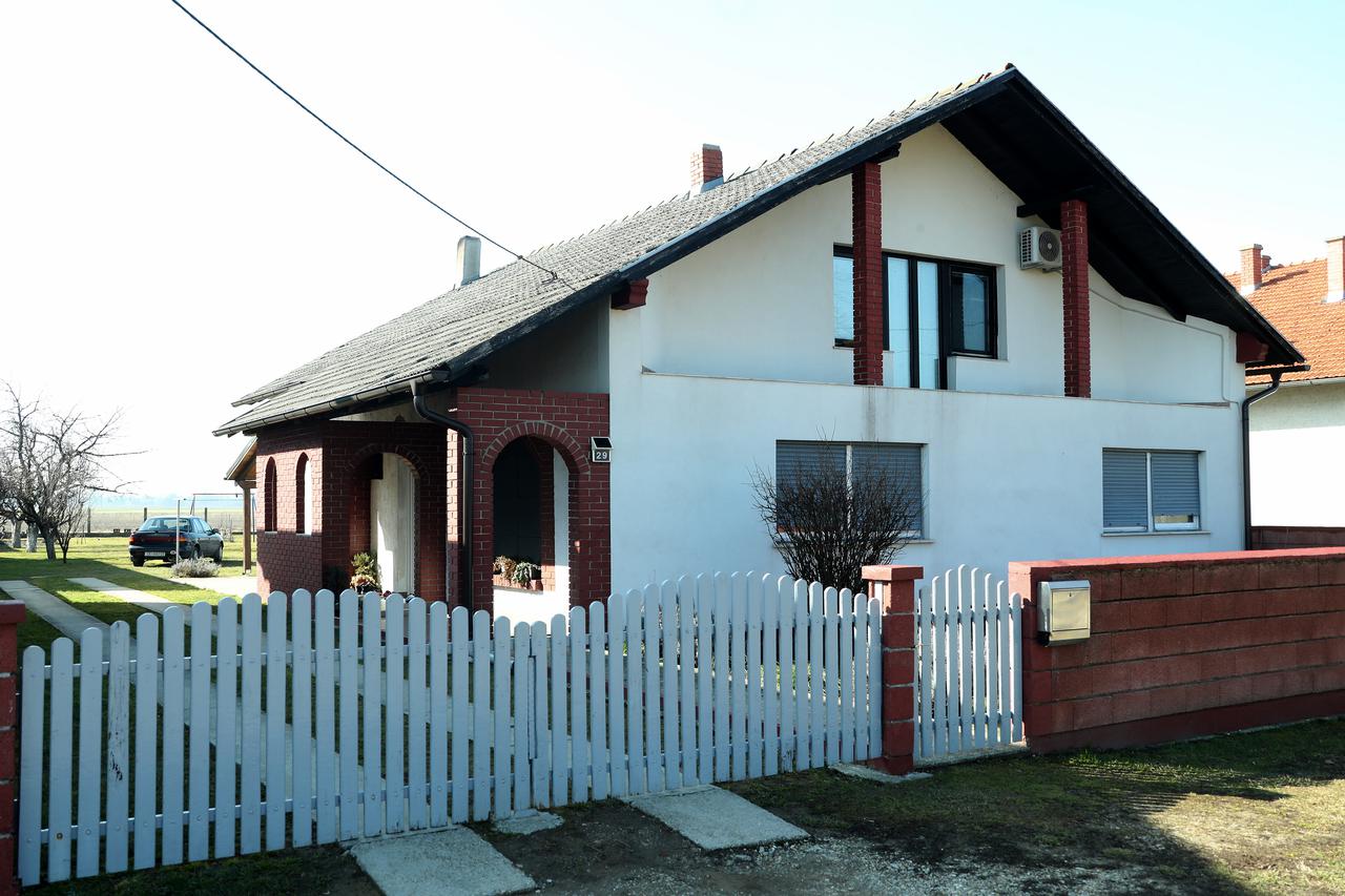 Palovec