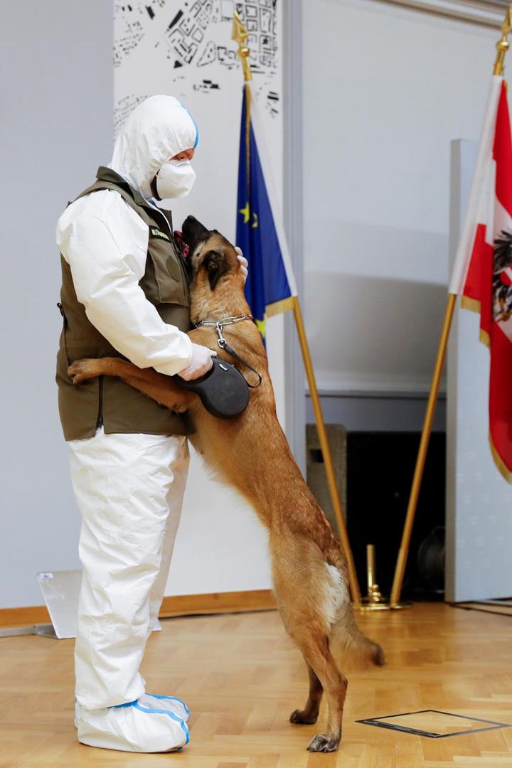 The outbreak of the coronavirus disease (COVID-19), in Vienna Fantasy, a sniffer dog trained to detect the coronavirus disease (COVID-19), reacts with a trainer during a news conference in Vienna, Austria December 14, 2020. REUTERS/Leonhard Foeger LEONHARD FOEGER