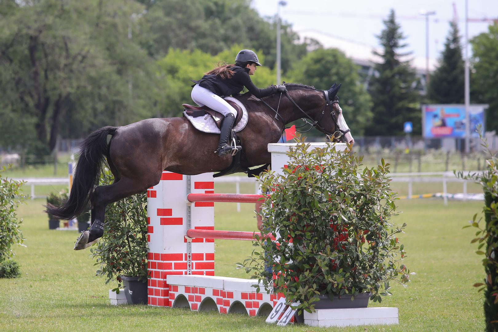 Ovo prestižno natjecanje, koje se od 1955. godine održava svake godine, drugo je najstarije sportsko natjecanje u Hrvatskoj te jedno od najvažnijih konjičkih natjecanja u ovom dijelu Europe. 