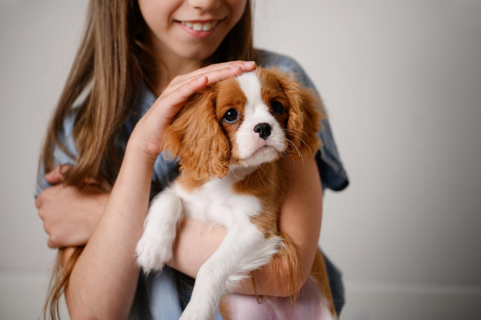 Cavalier King Charles španijel: Kavalirski španijeli kralja Charlesa poznati su po mirnoj naravi i često su odličan izbor za obitelji s djecom. Dobro se snalaze u različitim društvenim situacijama, pristojni su i privrženi svojim vlasnicima. Njihova dlaka zahtijeva umjerenu njegu, a najviše uživaju u pažnji i bliskosti s ljudima.