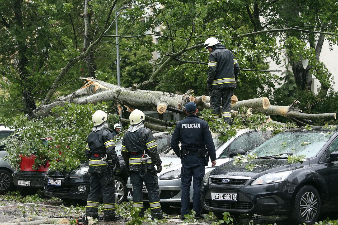 Zagreb: Zbog jakog vjetra u Sopotu se srušilo stablo na automobile, intervenirali vatrogasci