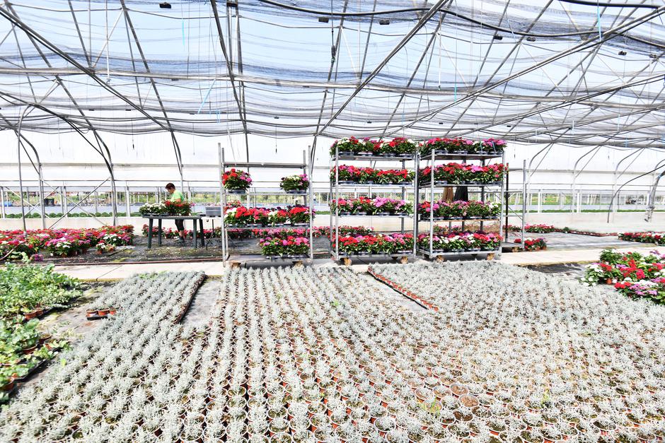 Doljan: Cvjećarski obrt Cepanec