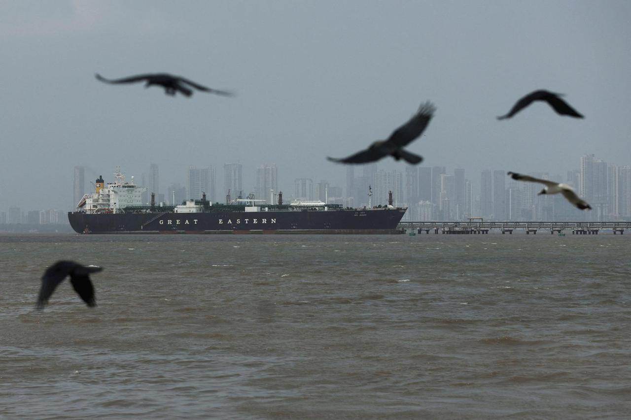 FILE PHOTO: Birds fly near the Jag Vasant vessel transferring LPG at a port after transiting the Strait of Hormuz amid supply disruptions linked to the U.S-Israeli conflict with Iran, in Mumbai