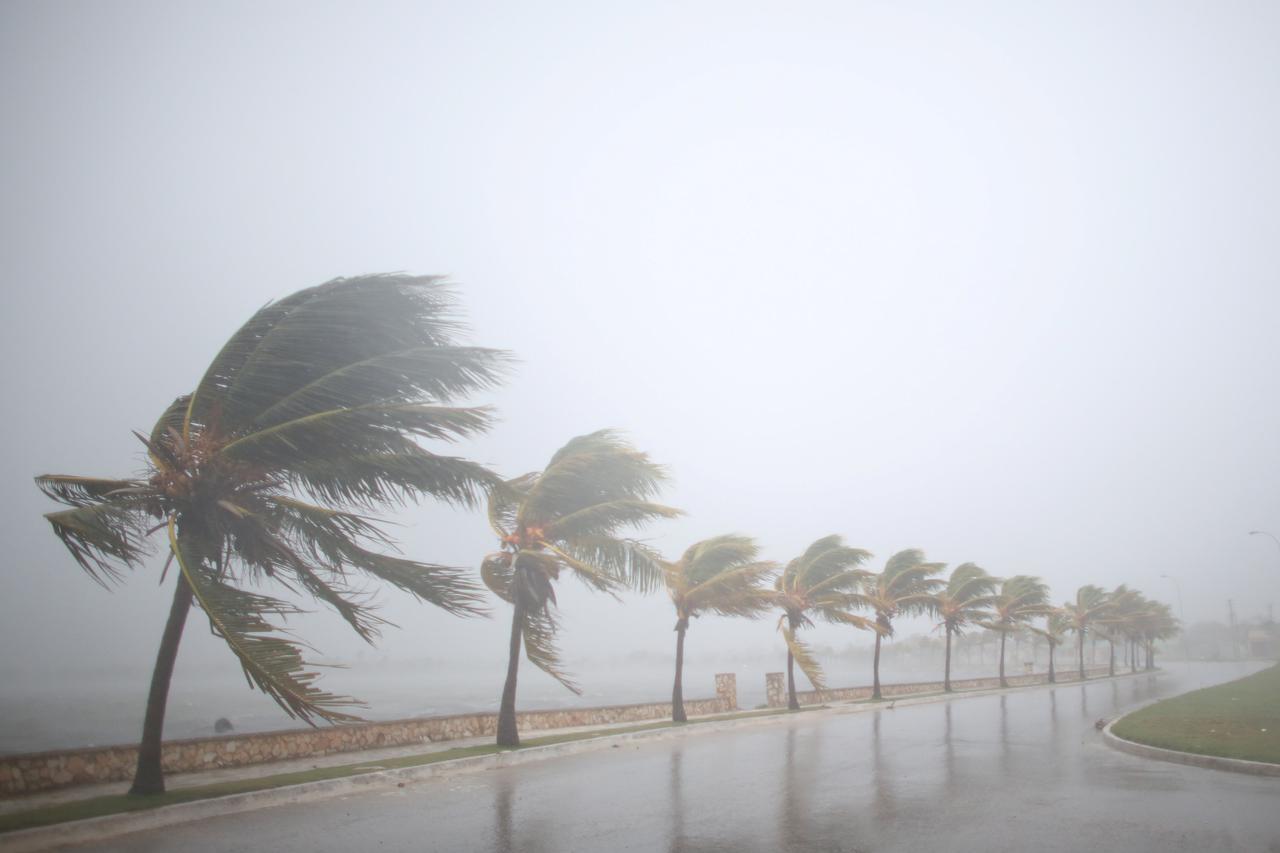 irma