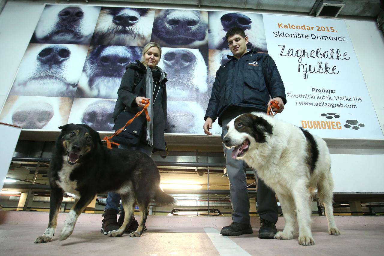 30.01.2015., Zagreb - Zagrebparking, podruznica Zagrebackog holdinga d.o.o., promovirao Skloniste za nezbrinute zivotinje Grada Zagreba - Dumovec i njihov projekt kalendar  Zagrebacke njuske. Na kratkoj prezentaciji pod nazivom  Udomimo Zagrebacke njuske 
