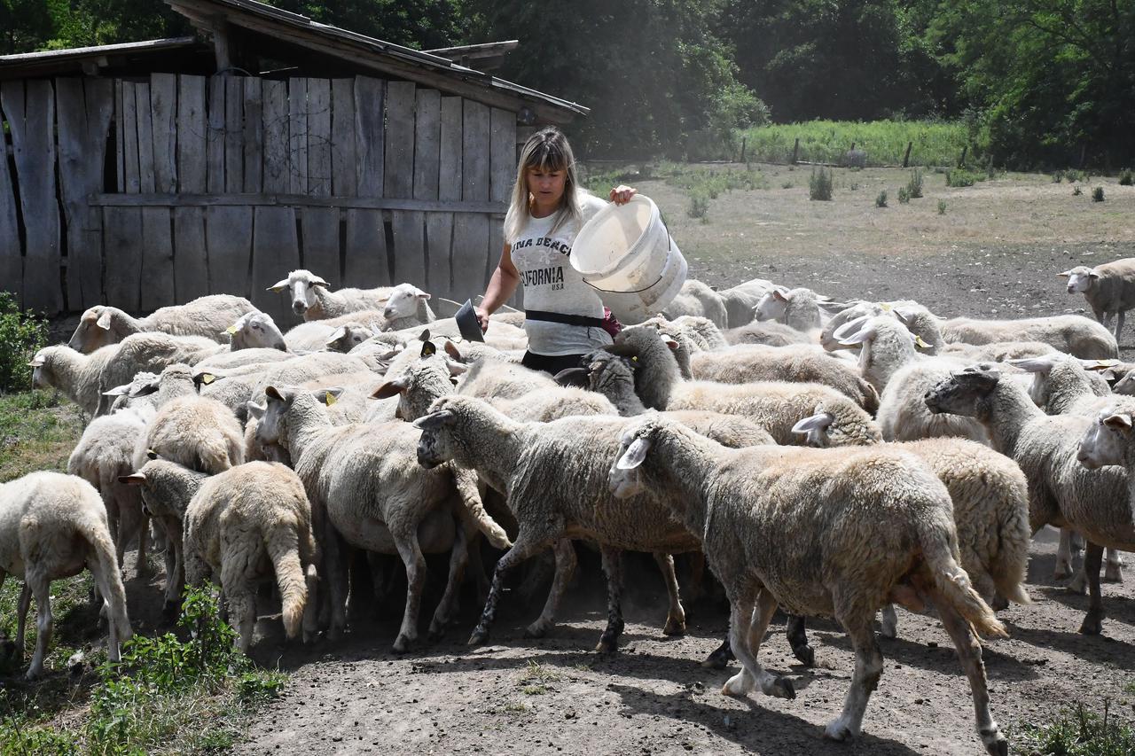 OPG Viktorija Terzić