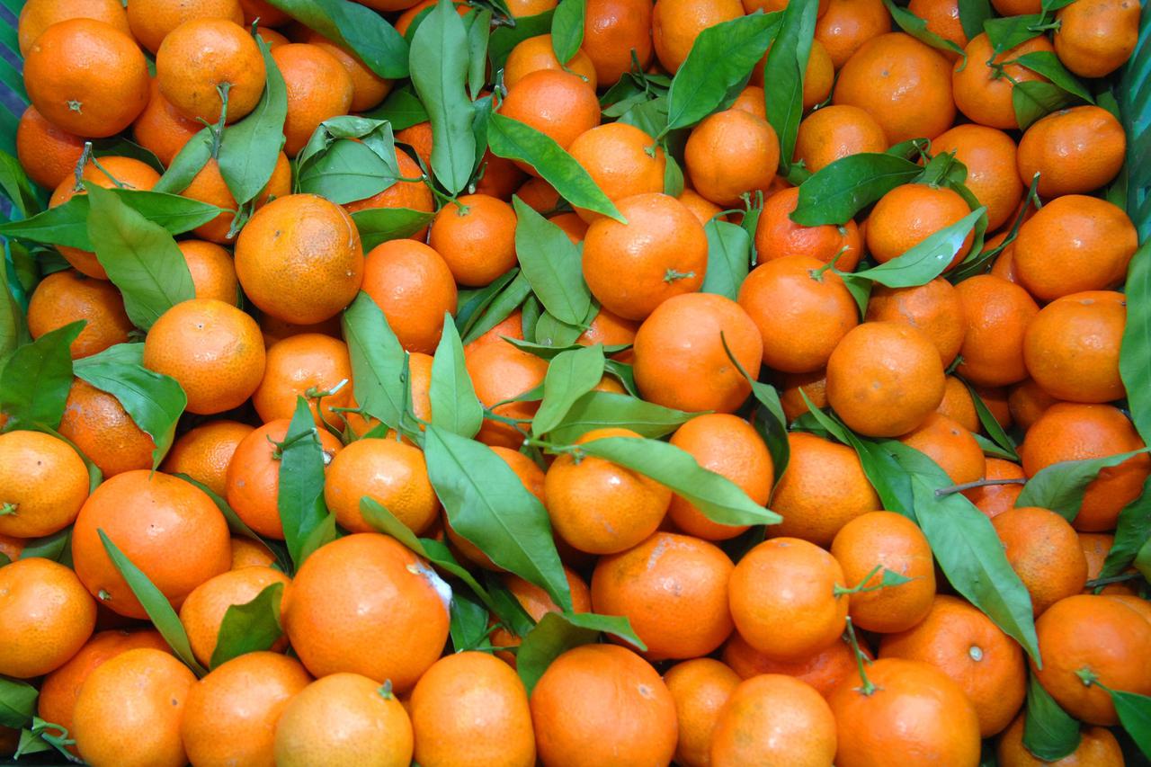 mandarine
