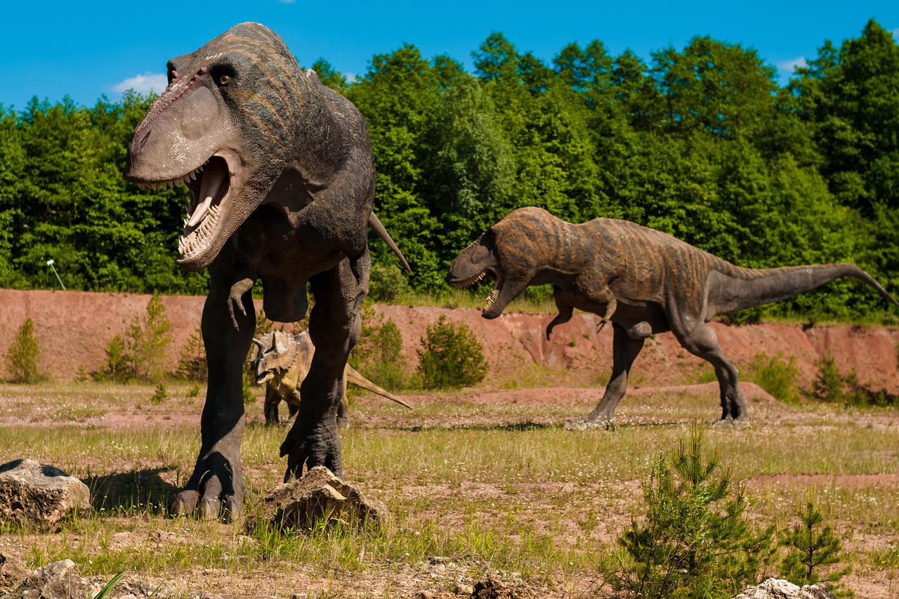 Dinosauri