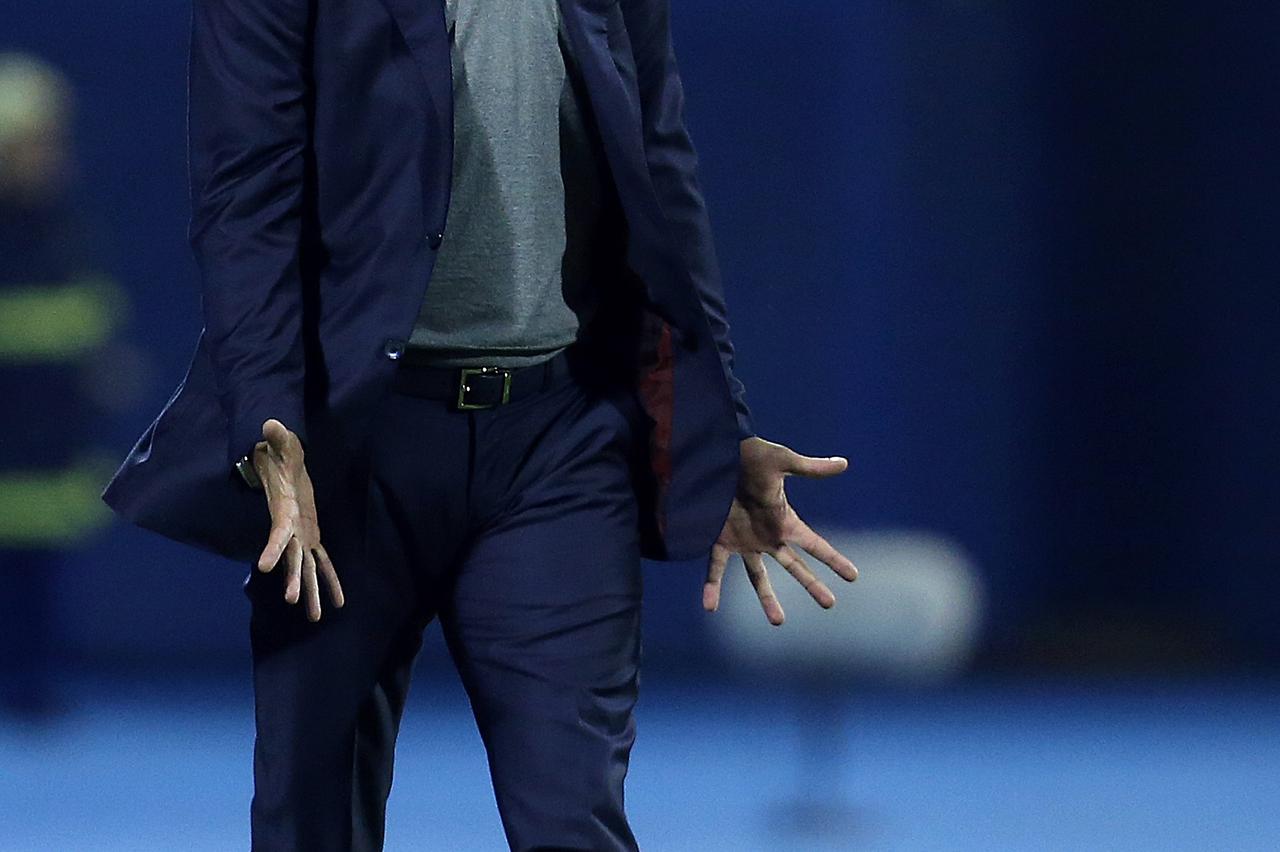 28.08.2014., stadion u Maksimiru, Zagreb - Uzvratna utakmica kvalifikacija za Europsku ligu, GNK Dinamo - FC Petrolul. Trener Dinama Zoran Mamic.  Photo: Goran Stanzl/PIXSELL