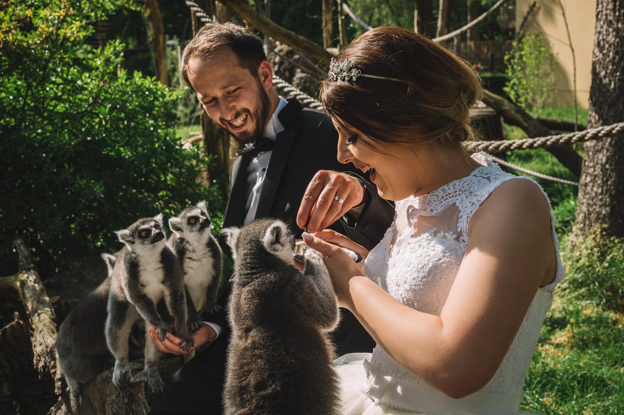 Mladi bračni par oduševili su lemuri, koji su im prišli bez ikakva straha