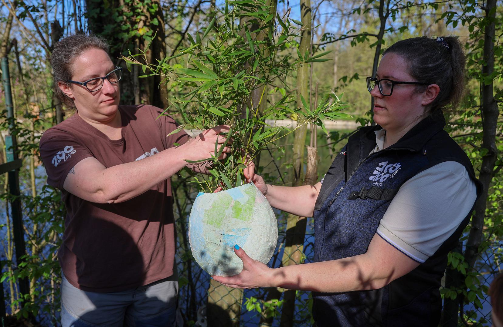 Neke su životinje dobile prirodnim bojama obojena kokošja jaja, a neke velike kaširane pisanice napunjene poslasticama. Svakoj je životinji u pisanice stavljeno ono što posebno voli – od voća i povrća do ličinki kukaca. Životinje koje vole jaja, odmah su prionule na njihovo razbijanje.