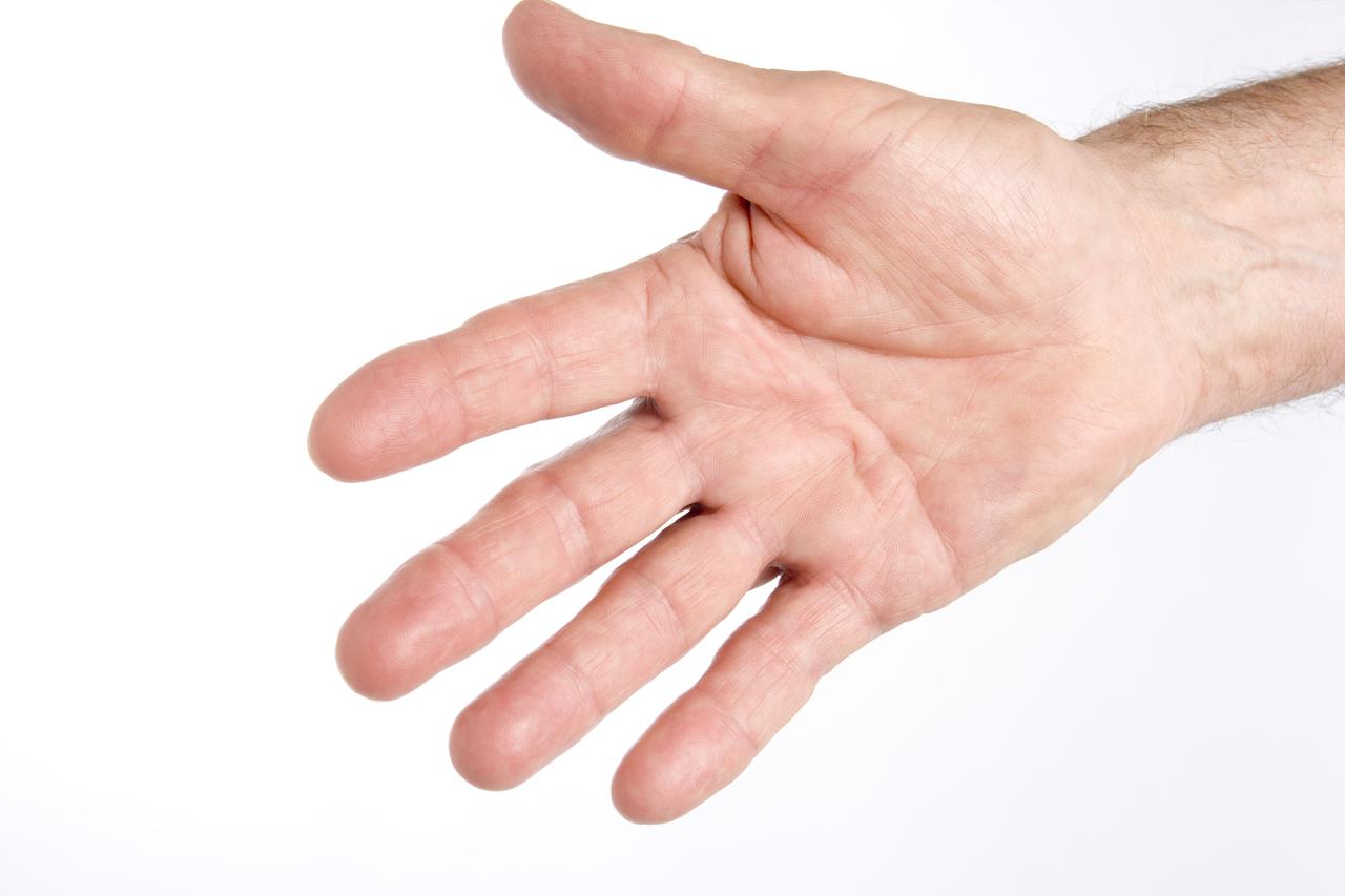šaka