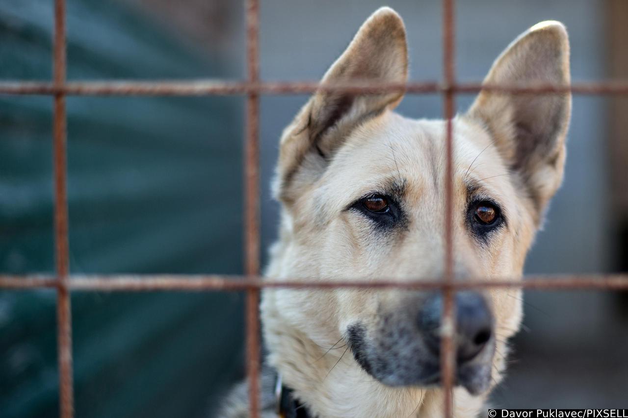 Studenti Ekonomskog fakulteta pokrenuli akciju Mogu bit tvoja sponzoruša?