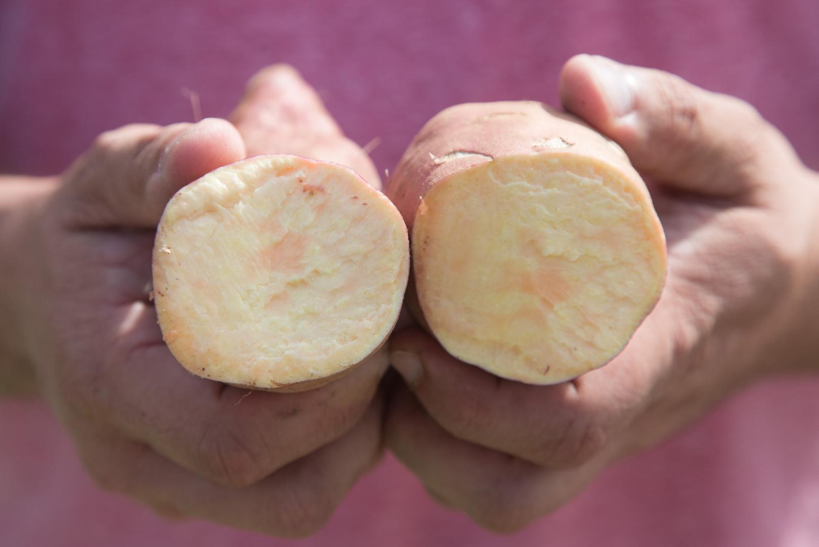 Batat – Prepun je vitamina A koji pomaže pri jačanju mišićnog tkiva u vagini. 