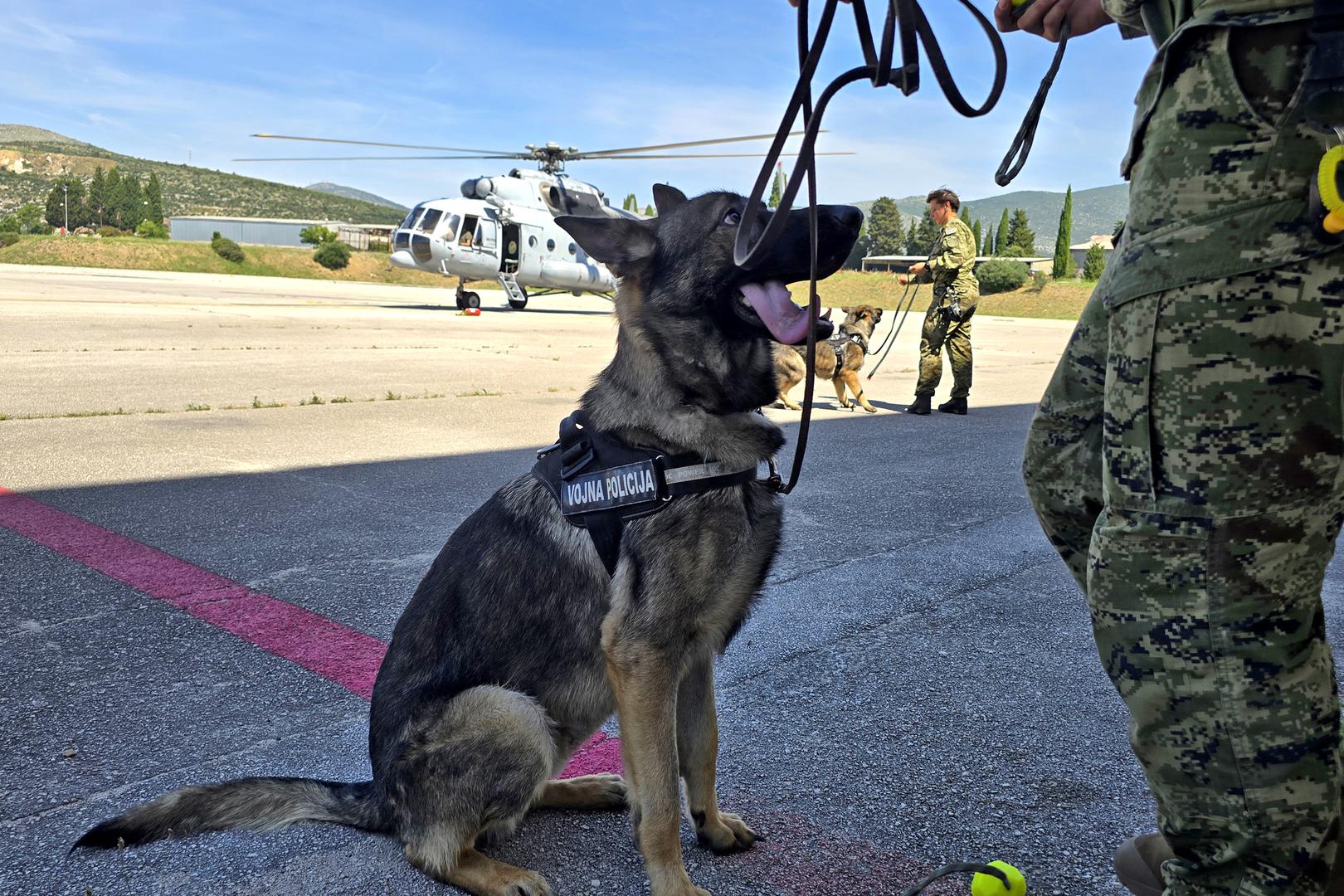 Rezultati su vrlo pozitivni jer su psi pokazali smirenost, stabilnost i povjerenje u vodiče, potvrđujući kvalitetu sustava uzgoja, selekcije i obuke Hrvatske vojske. Veterinarski stručnjaci pritom prate njihovo fizičko i psihičko stanje od okota do završetka službe.

