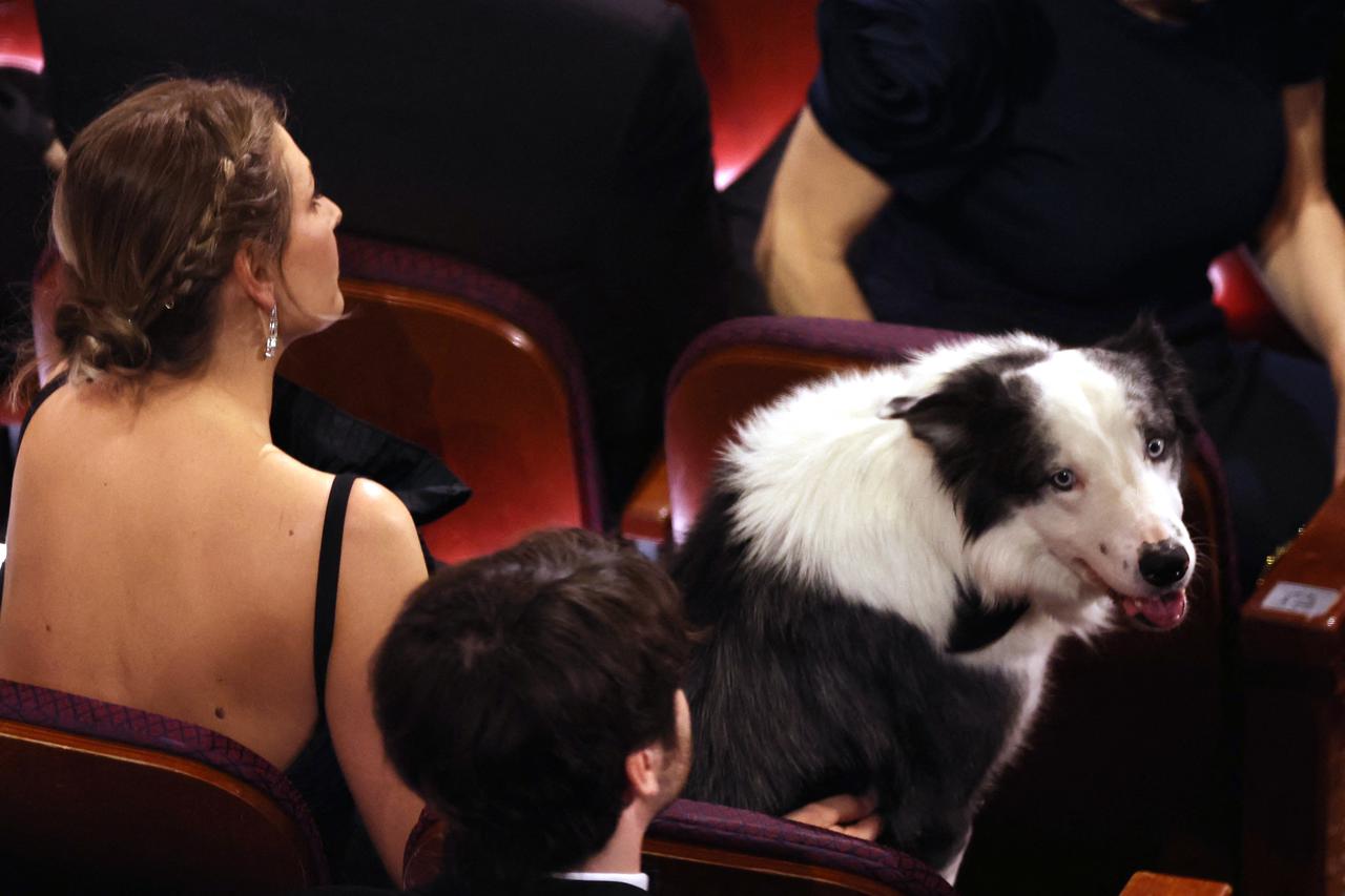 96th Academy Awards Oscars Arrivals Hollywood