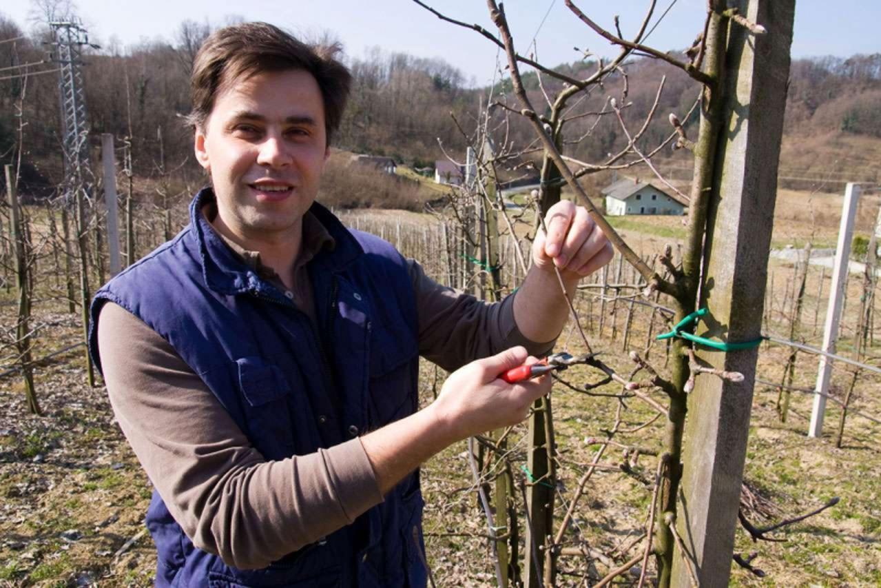 'Var \\u0096 07. 10. 2010., Bednja \\u0096 Prijeti opasnost da vocaru Milanu Stefancu iz Meljana propadne urod od 100 tona jabuka  PHOTO:  Ljiljana Risek'