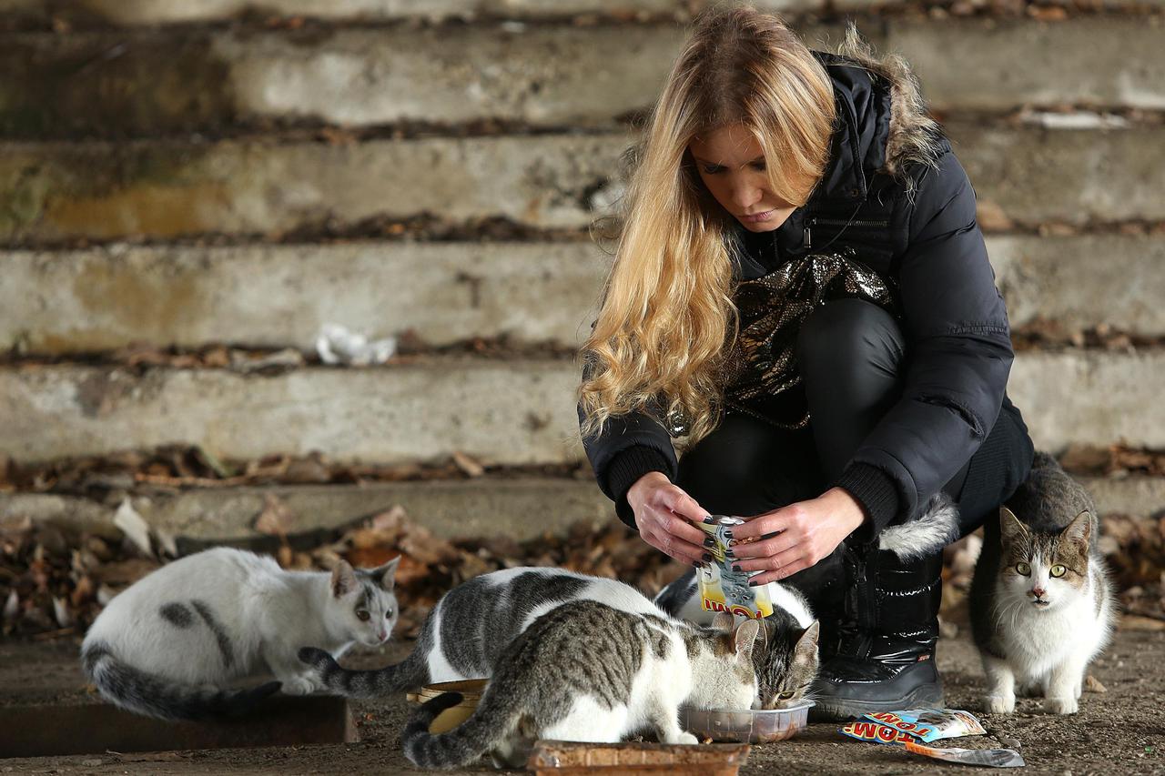 Iva Pavlović i mačke