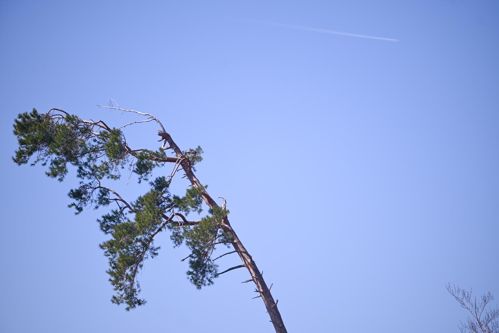 Sanacija je u tijeku, a posjetiteljima se savjetuje oprez.