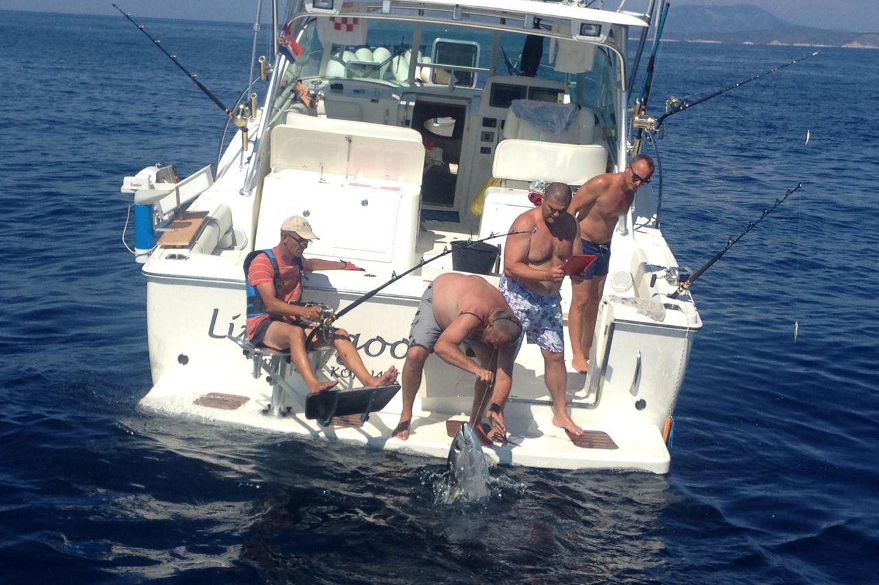 tuna