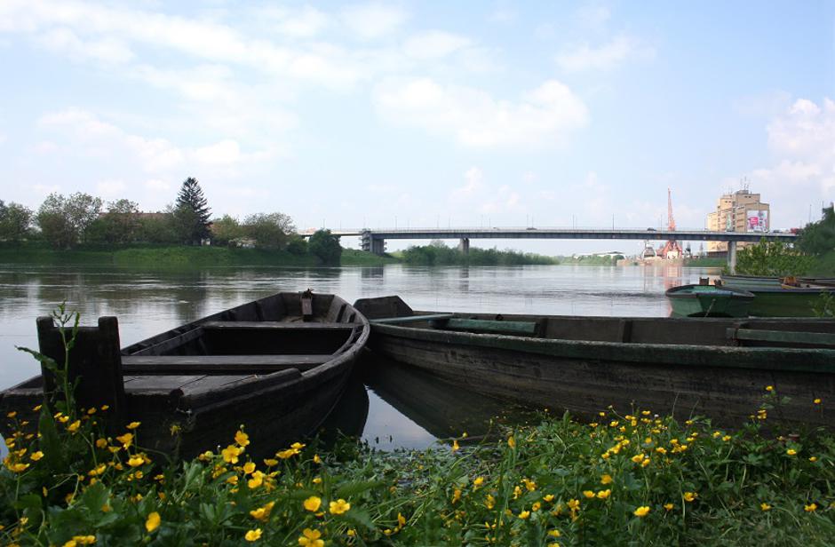 Sisak