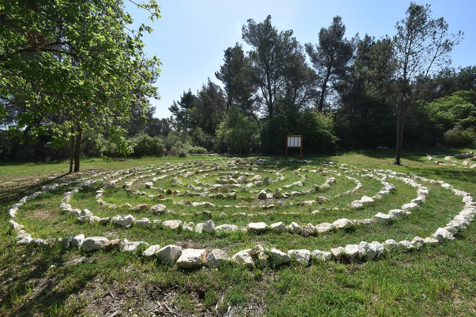 Piknik