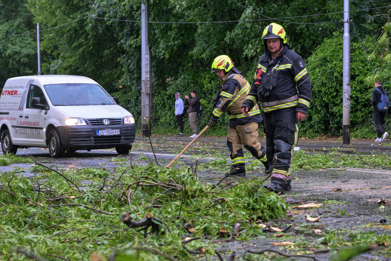 Zagreb: Palo stablo na Maksimirskoj, blokiran promet, vatrogasci na terenu