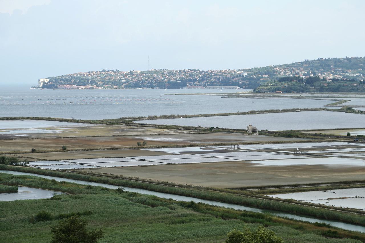 Savudrijska vala/Piranski zaljev