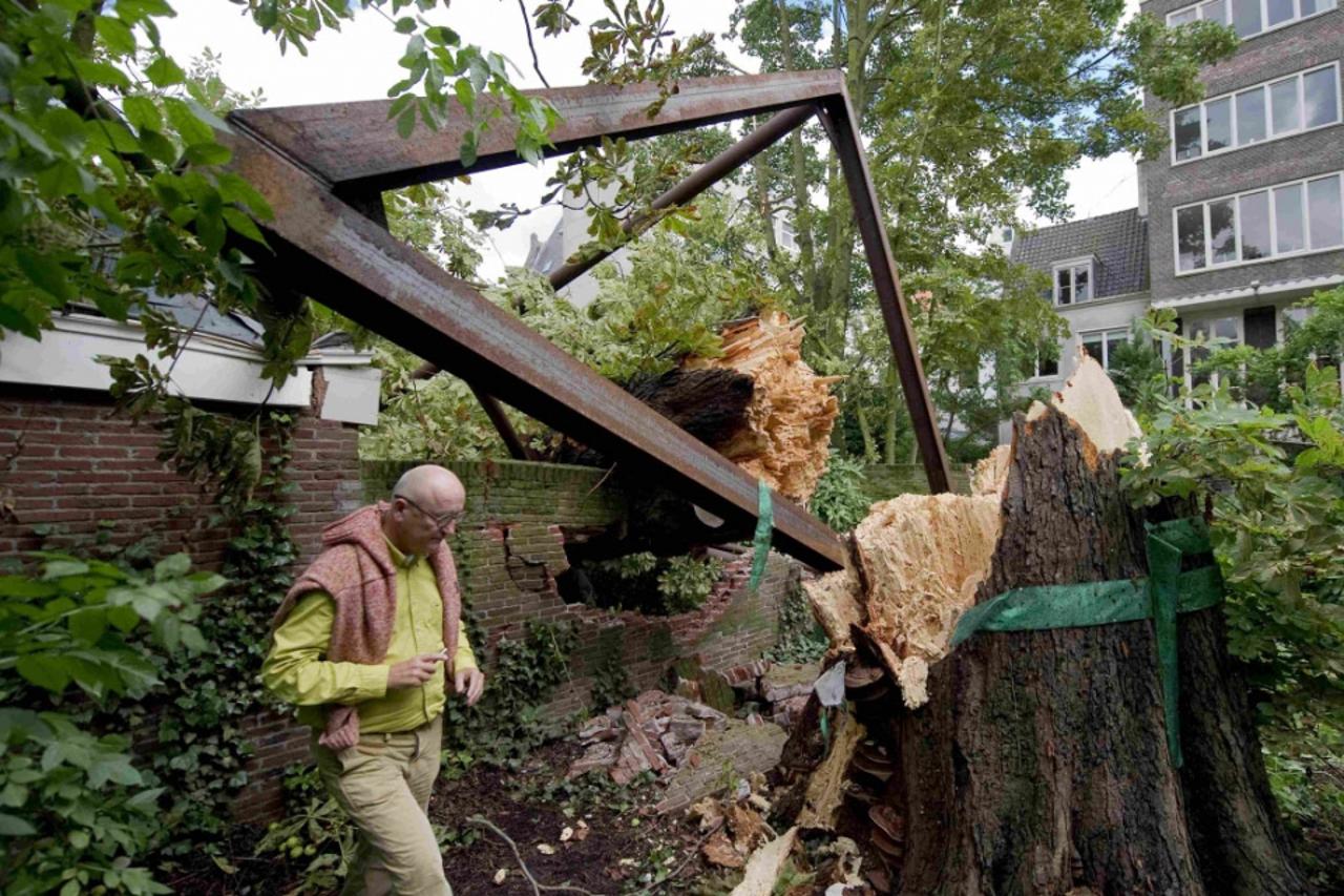 srušeni kesten Anne Frank