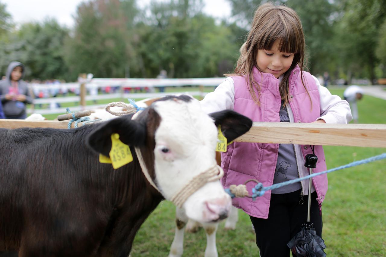 30.09.2015., Zagreb - Na Bundeku obiljezen Svjetski dan skolskog mlijeka. Edukativna akcija za djecu predskolske i skolske dobi priblizila im je na zabavan nacin proces dobivanja mlijeka, te su se najmladji imali prilike poigrati s telicima.  Photo: Grgur