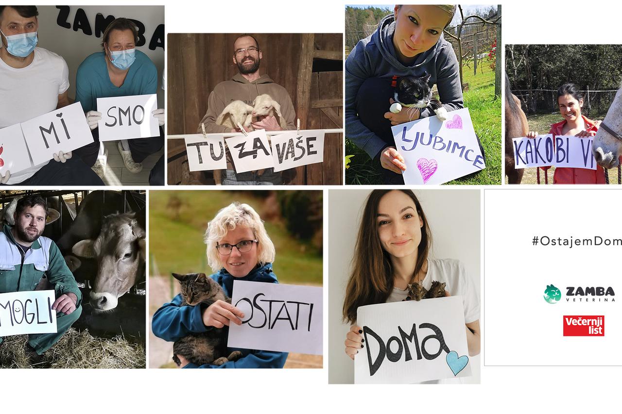 Veterinari klinike Zamba