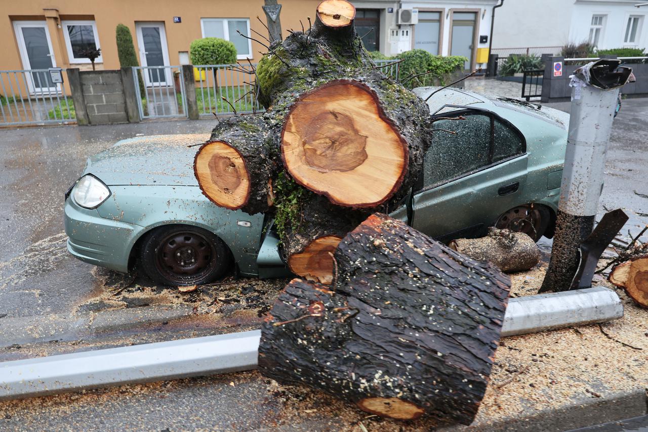 Zagreb: Nevrijeme srušilo stablo koje  je palo na automobil 