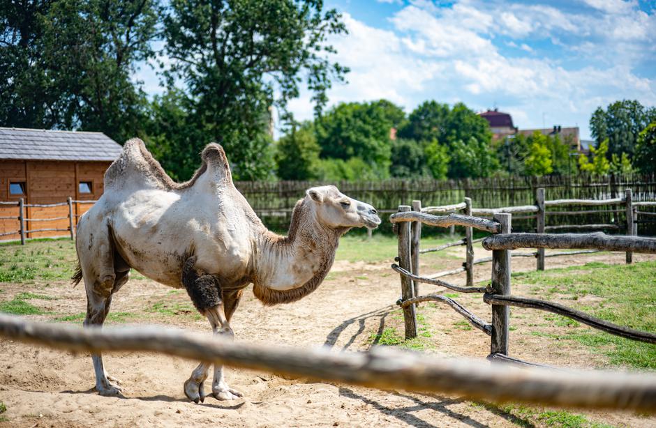 Podravina i Lika HTZ