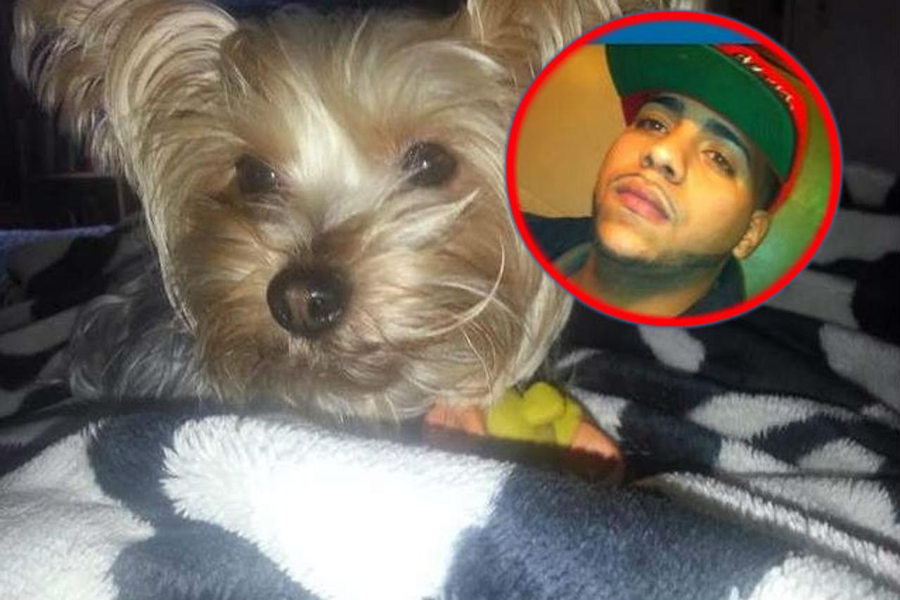 Ukrao joj psa i televizor