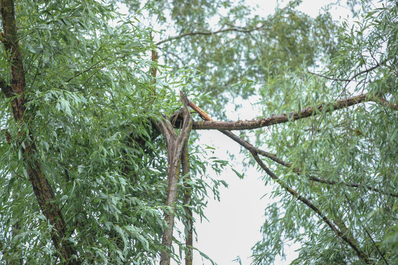 21.05.2024., Samobor - Posljedice nevremena u Samoboru. Photo: Luka Batelic/PIXSELL