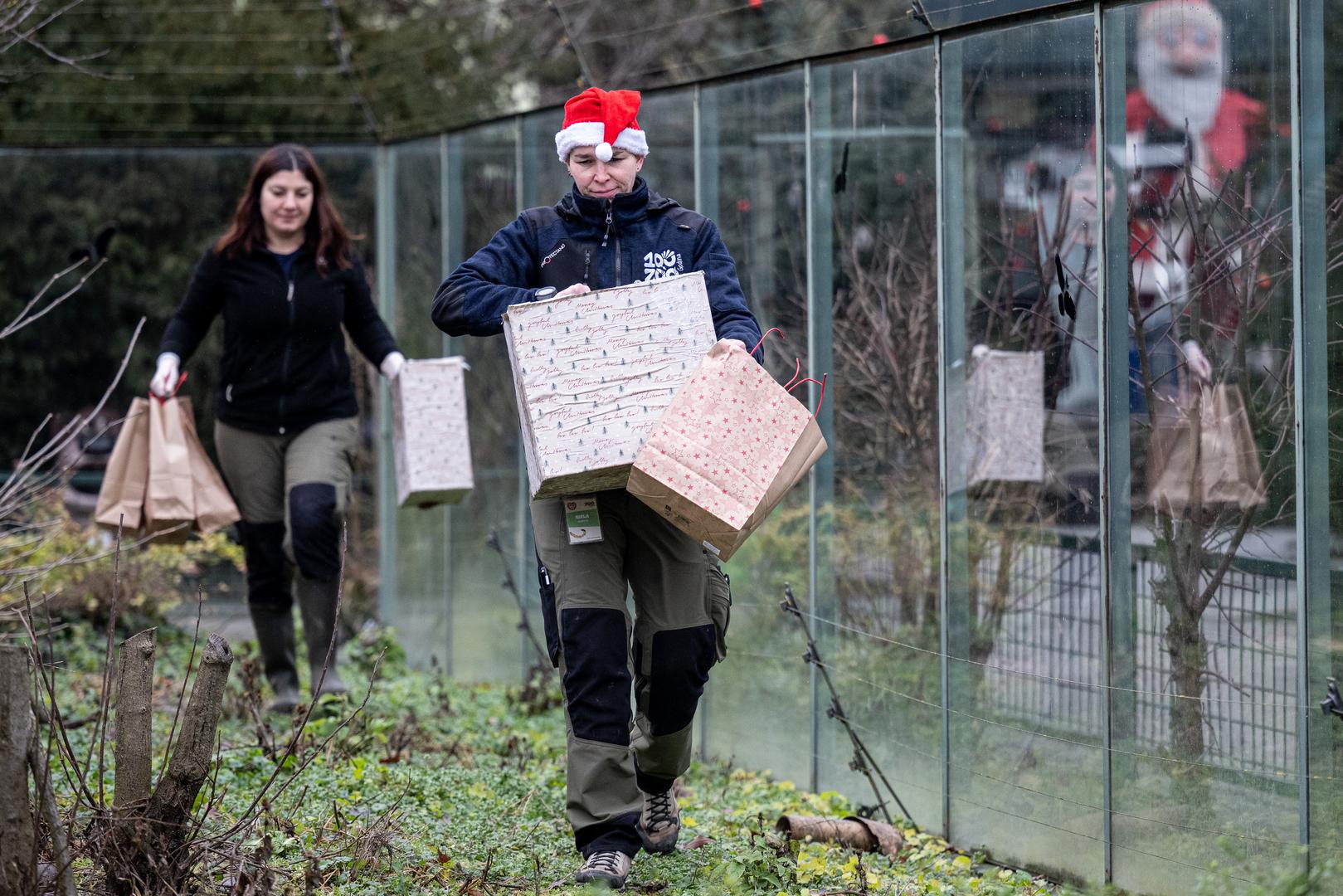 Božićni duh stigao je i do stanovnika Zoološkog vrta. Na blagdan svetog Stjepana, djelatnici su tradicionalno darivali životinje prigodnim božićnim poklonima – od mirisnih iznenađenja do omiljene hrane, sve zapakirano u blagdanskom ruhu.

