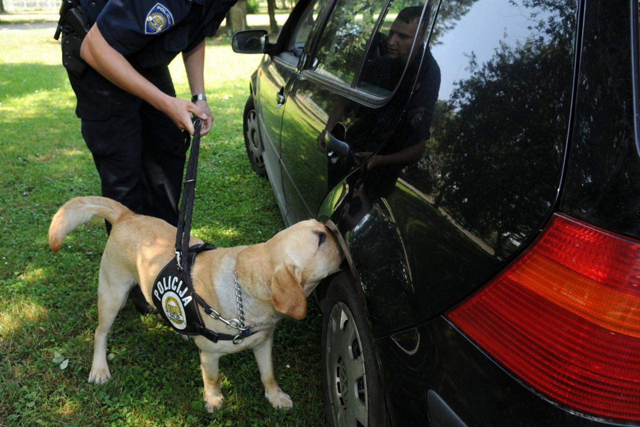 zen, policijski pas (1)