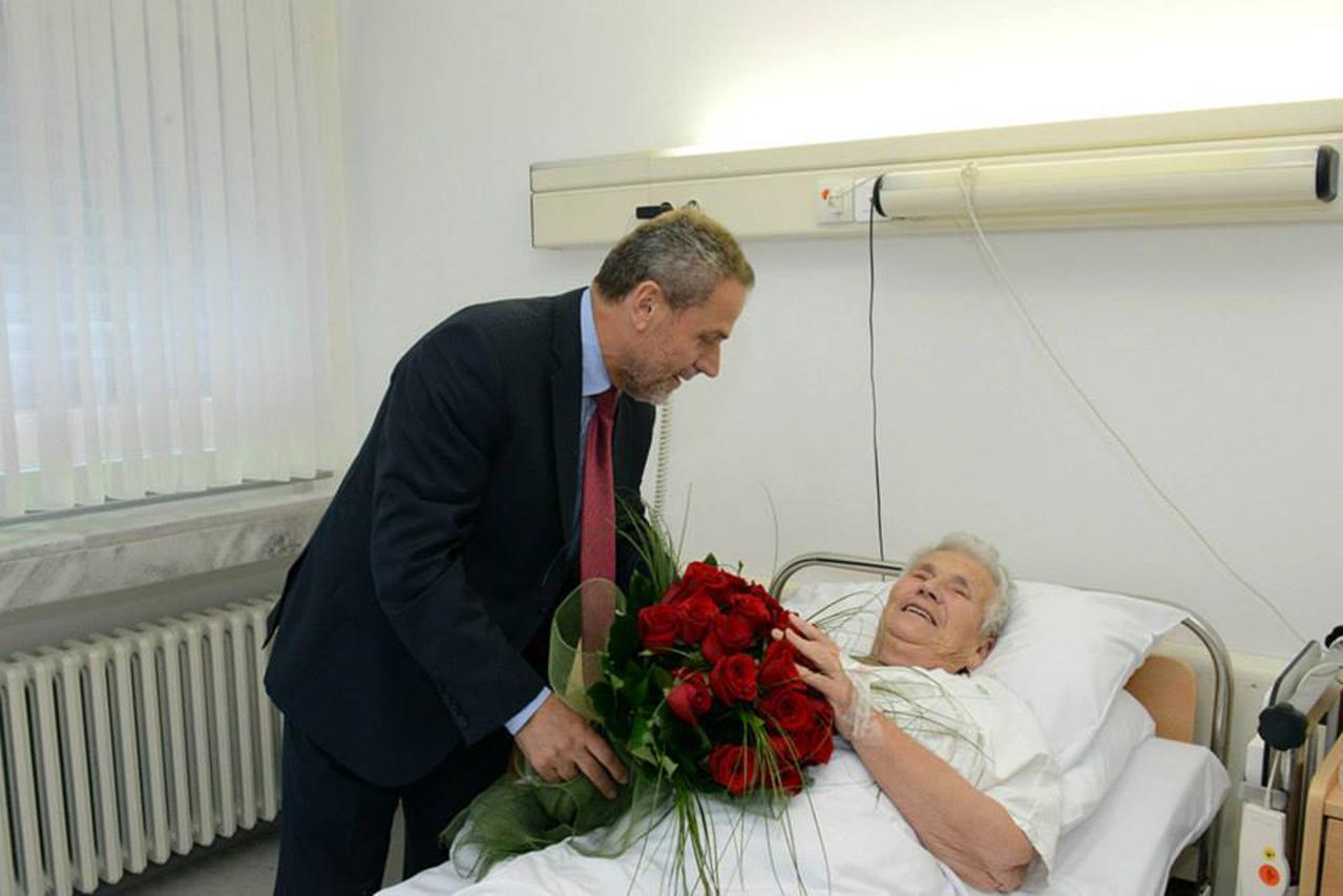 Blagica Bandić, portal (1)